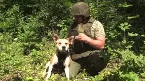 Пес по кличке Баста предупреждает штурмовиков о смертельной опасности