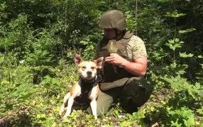 Пес по кличке Баста предупреждает штурмовиков о смертельной опасности
