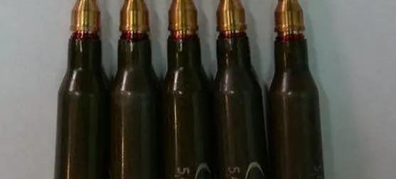 Многопульные патроны "Многоточие" повысят эффективность стрельбы по дронам