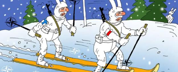 Финляндия и Польша совместно точат зубы на Россию