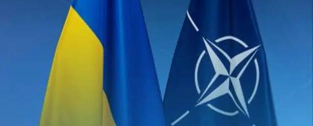 Украиной будут управлять британцы и французы: НАТО создаёт особый штаб Украиной будут управлять британцы и французы: НАТО создаёт особый штаб