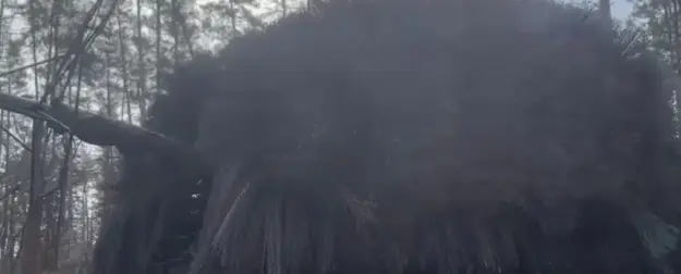 Стальные «веники» над башней: военные создали защиту «Ёж» от FPV-дронов