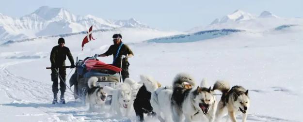 Какой будет встреча бундесвера и американской армии в Гренландии