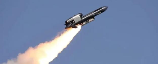 Десятки "Фламинго" полетят на Россию каждый день – НПЗ будут добивать?