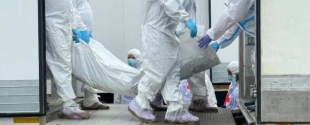 «Живой кошмар»: на Западе раскрыли последствия возврата тел солдат ВСУ «Живой кошмар»: на Западе раскрыли последствия возврата тел солдат ВСУ