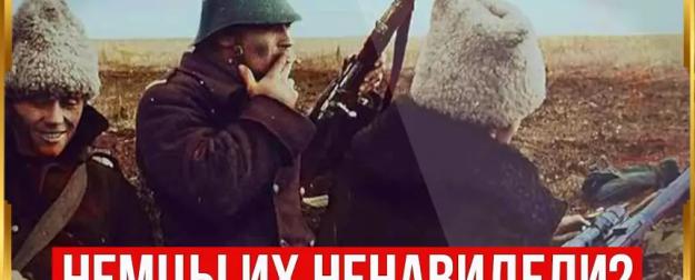 Что на самом деле думали солдаты Вермахта о своих союзниках по Оси?