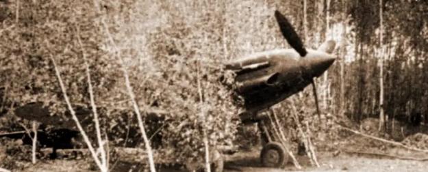 В небе Смоленщины В небе Смоленщины