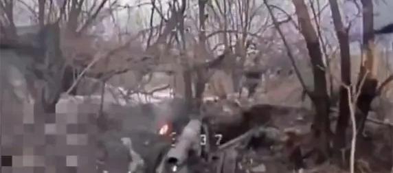 Операторы дронов уничтожили редкую легкую итальянскую легкую горную гаубицу