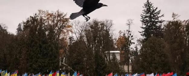 InfoBRICS: неонацисты Украины раскрывают правду о потерях