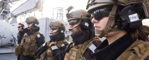 Тень на погонах финских солдат