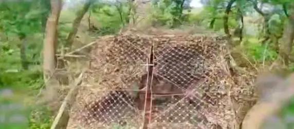 Дроны на оптоволокне уничтожили два танка Т-72ВСУ Дроны на оптоволокне уничтожили два танка Т-72ВСУ