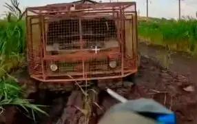 Шведские вездеходы "Лось" застряли в болоте и были сожжены дронами КВН