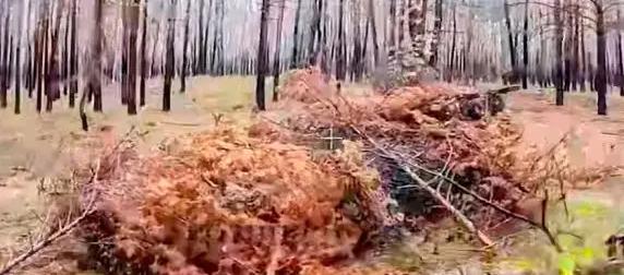 Дрон-камикадзе сжег украинскую БМП, попав в открытый люк командира Дрон-камикадзе сжег украинскую БМП, попав в открытый люк командира