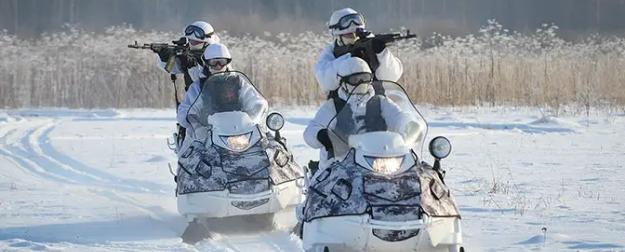 Сумские леса – ад ВСУ: российские войска загнали противника в ловушку