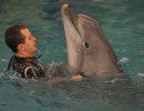 На случай перекрытия Ормузского пролива США готовят дельфинов-спецназовцев