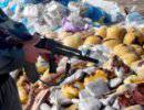 Россия и Иран объединяют усилия в борьбе с наркоугрозой