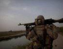 20 американских военных участвовали в расстреле афганцев в Кандагаре