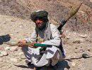 Афганцы в провинции Гильменд поймали талиба и отрезали ему уши