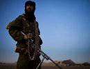 Туареги опровергли свой союз с исламистами и объявили о прекращении боевых действий