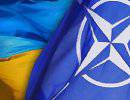 Спасет ли НАТО Януковича?