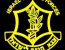 Армия обороны Израиля обнародовала данные о дезертирах и уклонистах