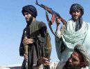 Афганские талибы в Пакистане: структура и стратегия