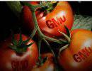 Топ-10 ГМО продуктов особо опасных для жизни!