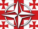 Тернистый путь в НАТО