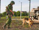 В Дагестане обезврежено мощное взрывное устройство