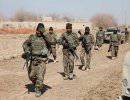 Афганистан: сводка боевой активности за 3 декабря