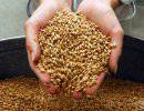 Михаил Делягин: государство должно разработать механизм экспорта зерна