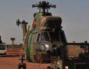 Нидерланды отправляют французам в Мали военную помощь