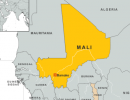 Роль Алжира в малийском конфликте