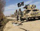 Украина предложила помощь НАТО в выводе войск из Афганистана