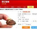 Осколки челябинского метеорита появились в китайском интернет-магазине Taobao
