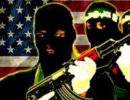 «Фитна», «рука Америки» или «Исламское пробуждение»?
