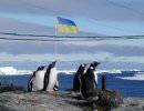 Украина нашла нефть в Антарктиде