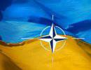 Украина и НАТО: игра в одни ворота?