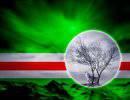 Чеченская диаспора на западе: больше политики, меньше гуманности