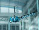 Немецкие ученые создали летающего робота-стрекозу