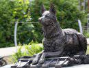 В Москве открыли памятник фронтовой собаке
