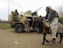 Боевик на осле убил трех солдат НАТО в Афганистане