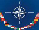Страны НАТО отказываются участвовать в военной операции в Сирии