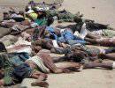 В Нигерии исламисты расстреляли 80 мирных жителей под знаком борьбы с образованием