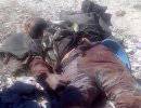 Четверо боевиков уничтожены в Левашинском районе Дагестана, среди них главарь бандгруппы