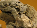 Таинственные мумии Паракаса