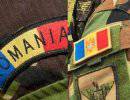 В Румынии проходят молдавско-румынские артиллерийские учения