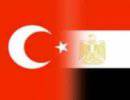 Египетско-турецкие отношения сквозь призму геополитического противоборства