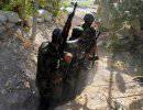Сирия: убиты 500 джихадистов и саудовский полковник