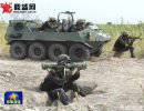Китайская армия получила на вооружение новые легкие вездеходы